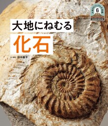 大地にねむる化石６　日本列島５億年の旅　大地のビジュアル大図鑑
