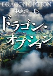 ドラゴン・オプション