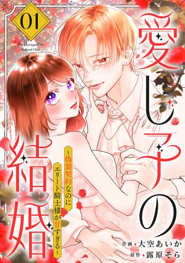 愛し子の結婚～偽装契約なのにエリート騎士様が甘すぎる～【電子単行本版／特典おまけ付き】