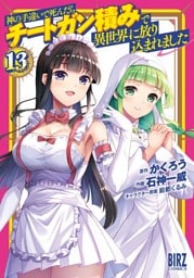 神の手違いで死んだらチートガン積みで異世界に放り込まれました (13) 【電子限定おまけ付き】