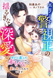 エリート警視正の揺るぎない深愛~密かに産んだ赤ちゃんごと愛し尽くされています~