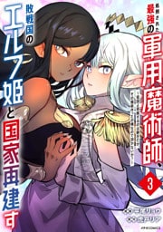 処刑された最強の軍用魔術師、敗戦国のエルフ姫と国家再建す～祖国よ邪魔するのは勝手だが、その魔術作ったの俺なので効かないが？～（３）