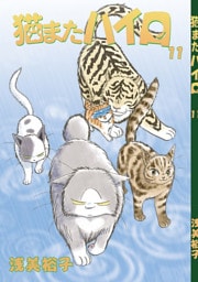 猫またハイロ11巻