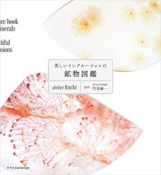 美しいインクルージョンの鉱物図鑑