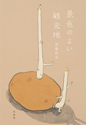 景色のよい観光地