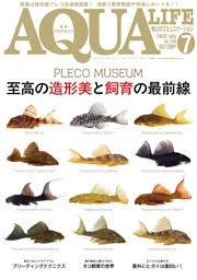 アクアライフの最新号 | dマガジンなら2,400誌以上の人気雑誌が読み放題！