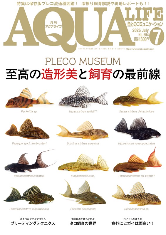 アクアライフ ７月号