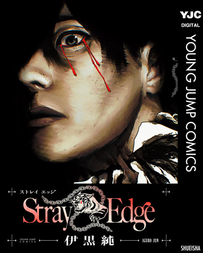 Stray Edge