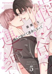 噛んで溶けて運命になって 5