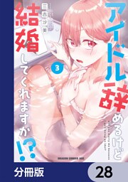 アイドル辞めるけど結婚してくれますか！？【分冊版】　28