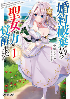 婚約破棄されてから聖女の力が覚醒したようです