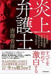 炎上弁護士　なぜ僕が100万回の殺害予告を受けることになったのか