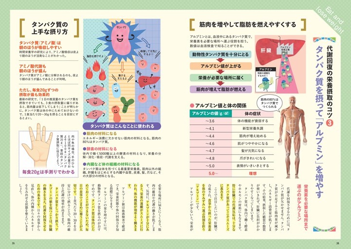 (3) タンパク質を摂って「アルブミン」を増やす