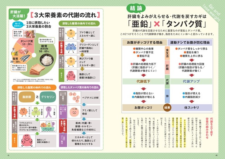 [結論] 肝臓をよみがえらせる・代謝を戻すカギは「亜鉛」×「タンパク質」