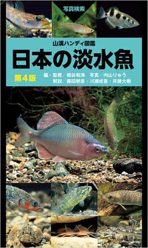 山溪ハンディ図鑑 日本の淡水魚 第4版