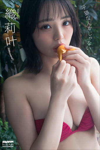 織莉叶　子猫なんかじゃない