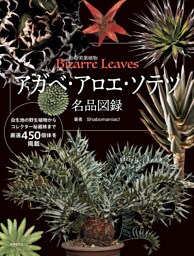 アガベ・アロエ・ソテツ名品図録