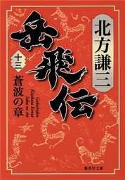 岳飛伝　十三　蒼波の章