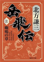岳飛伝　三　嘶鳴の章