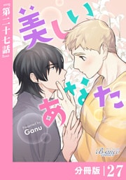美しいあなた【分冊版】27（ビアンココミックス）