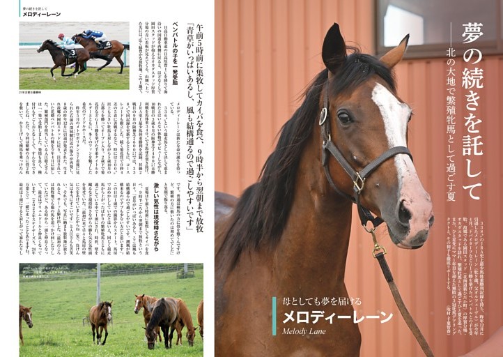 パチンコ㊙️情報　12冊(2号～13号) パチンコ㊙️情報 12冊(2号～13号)