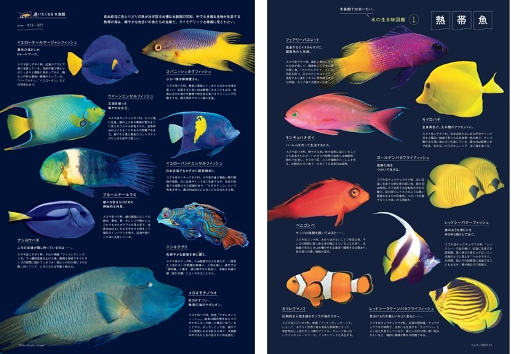 熱帯魚 ―――― 水の生き物図鑑1／葛西臨海水族園 (BRUTUS) | dマガジン