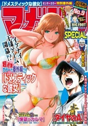 マガジンSPECIAL 2015年No.9 [2015年8月20日発売]