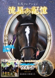 名馬コレクション 流星の記憶