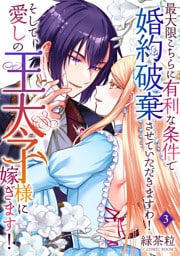 最大限こちらに有利な条件で婚約破棄させていただきますわ！そして、愛しの王太子様に嫁ぎます！ ３巻
