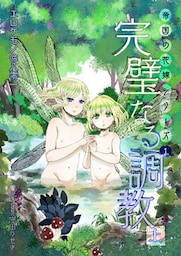 完璧なる調教（上巻）