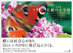 写真集　花蝶の十字路　ヨーロッパ・オーストラリア篇　Looking for Butterflies