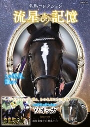 名馬コレクション 流星の記憶