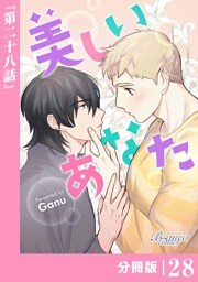 美しいあなた【分冊版】28（ビアンココミックス）