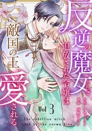 反逆の魔女として追放された令嬢は敵国の王から愛される 3