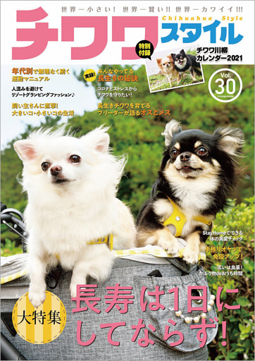 チワワスタイル