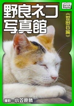 野良ネコ写真館