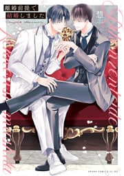 離婚前提で結婚しました【電子特典付き】