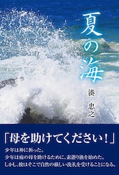 夏の海