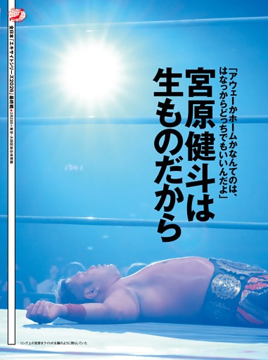 MSD]MS-06D ザク・デザートタイプ ピンクパンサー隊機【BANDAI SPIRITS