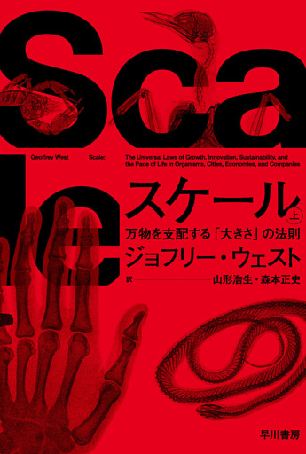 スケール