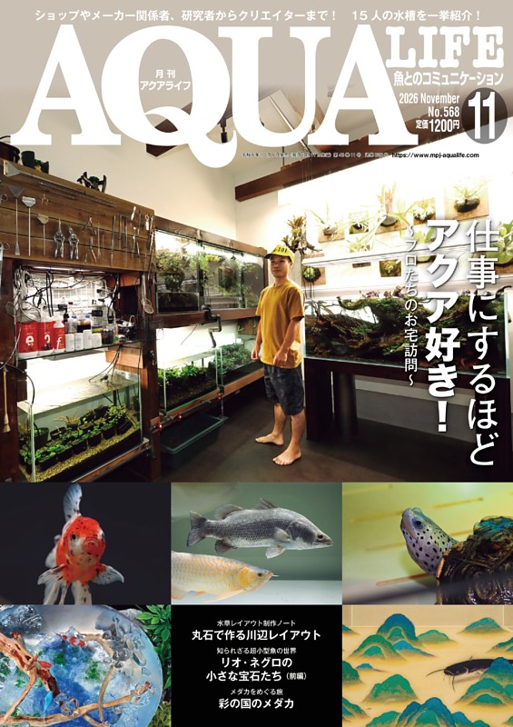 アクアライフ 11月号