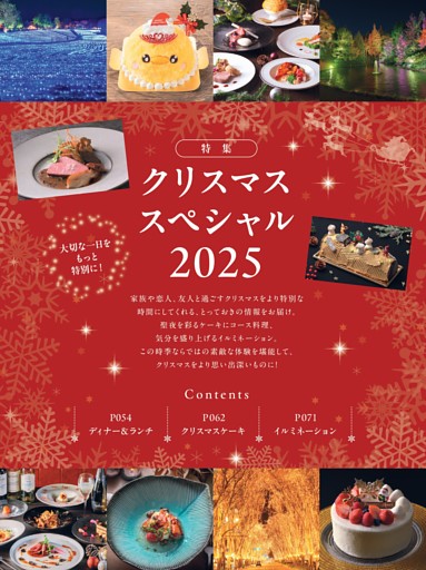 クリスマススペシャル（ケーキ/イルミネーション）