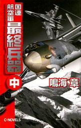国連航空軍　最終兵器　中