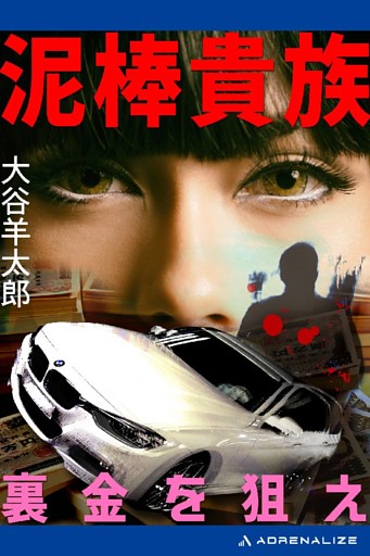 泥棒貴族 裏金を狙え