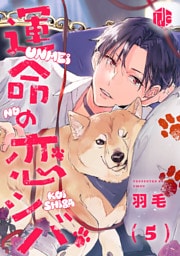 運命の恋シバ 第5話