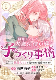 同居している大魔法使い様の子づくり事情 こっそり家を出るつもりが、絶倫えっちで蕩けるほど溺愛されてます(5)