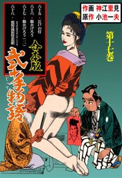 弐十手物語【合本版】　17