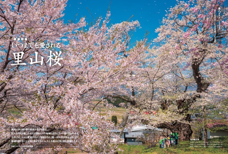 巻頭特集 いつまでも愛される里山桜 (風景写真) | dマガジン