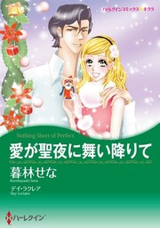 愛が聖夜に舞い降りて〈【スピンオフ】ビジネスパートナー〉【分冊】 3巻