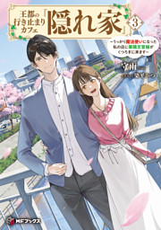 王都の行き止まりカフェ『隠れ家』　～うっかり魔法使いになった私の店に筆頭文官様がくつろぎに来ます～３